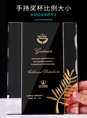 奖牌定制定做棕榈奖定制授权牌荣誉牌匾 经销商加盟牌水晶奖杯
