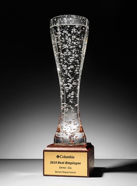 高档水晶奖杯定制 实木奖杯气泡优秀员工奖牌定做刻字玻璃纪念品