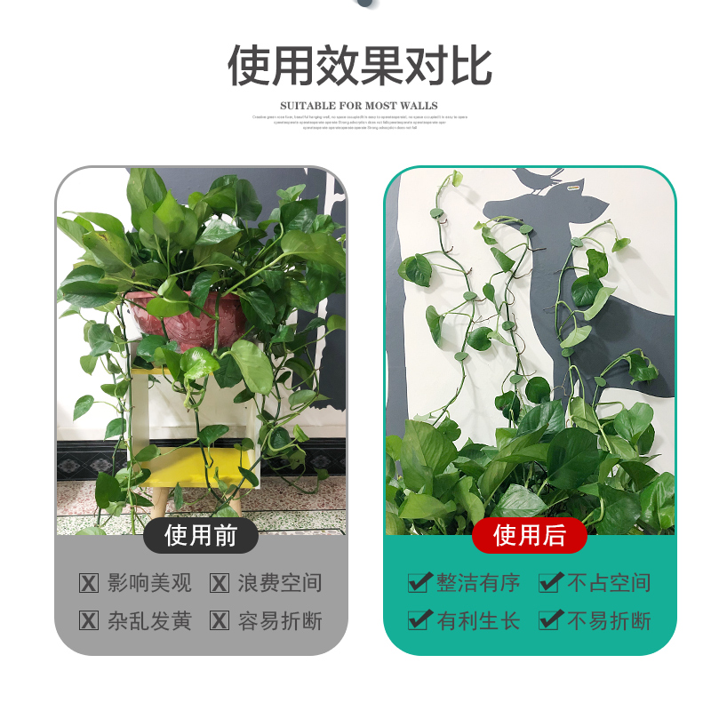 绿箩爬上神器固定器爬墙植物上墙辅助贴花的卡子夹扣卡扣爬藤爬花-图1