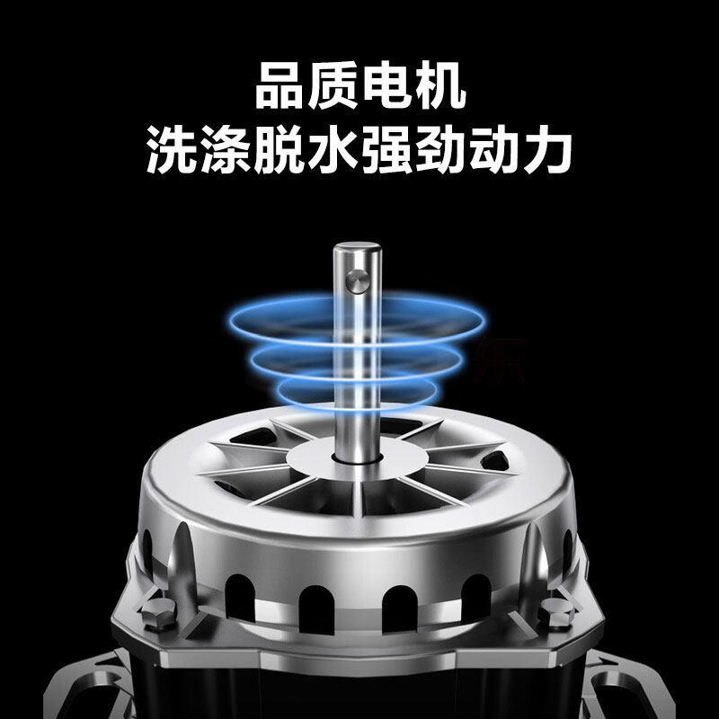 小天鹅5.5公斤kg洗衣机一人用波轮 泰达电器洗衣机