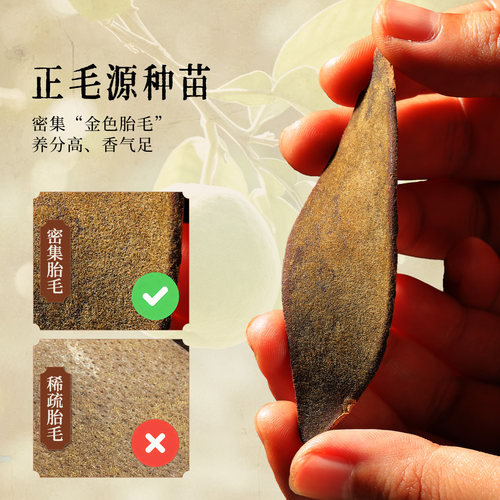 【不苦不涩】百橘源有机化橘红正宗化州橘红皮正品官方旗舰店送礼 - 图0