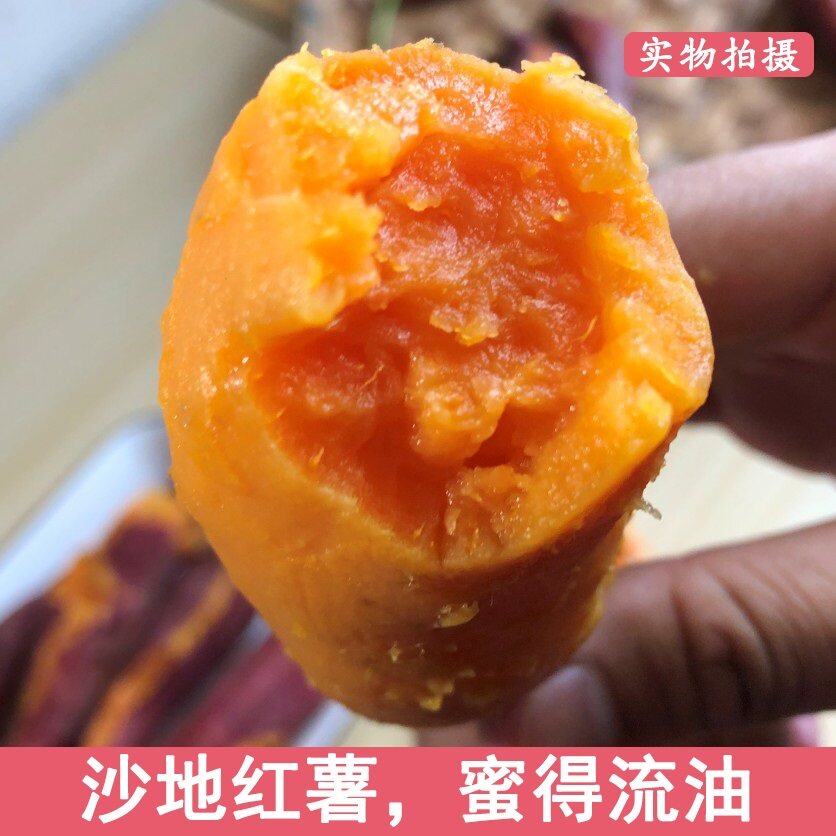 红薯新鲜10稻意庄园 稻意庄园番薯