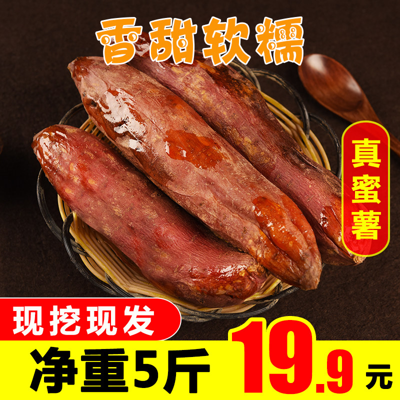 香甜软糯真蜜薯红心红薯大果5 恋果情番薯