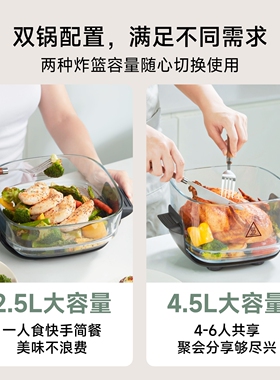 追觅PT60玻璃空气炸锅2.5L+4.5L