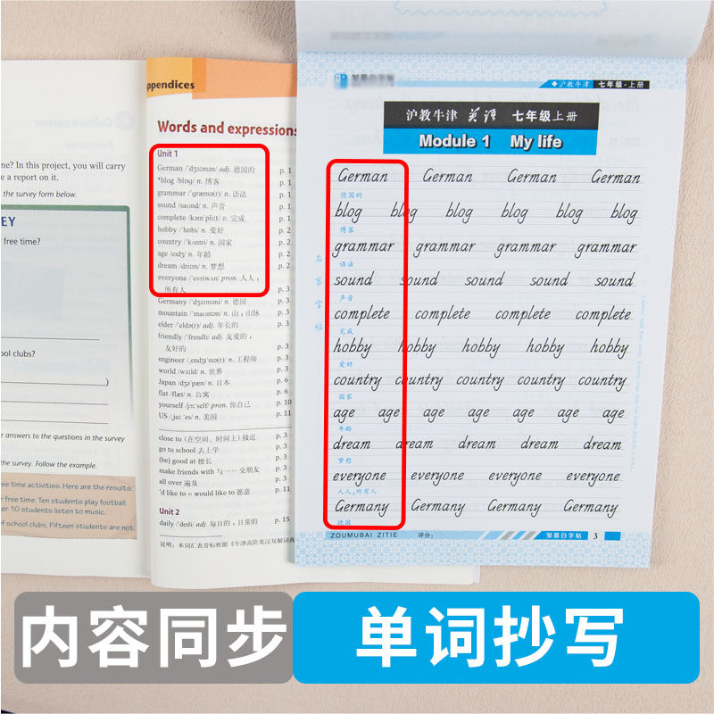 沪教牛津版初中英语练字帖斜体初中789年级上册下册单词句型蒙白纸临摹国标写字本初一初二初三教材同步中考词汇邹慕白字帖手写体