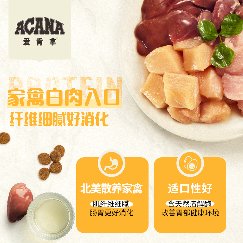 ACANA爱肯拿草原家禽犬粮通用型中大型成幼犬无谷狗粮11.3KG临期,淘宝优惠券,粉丝福利购,淘宝优惠卷