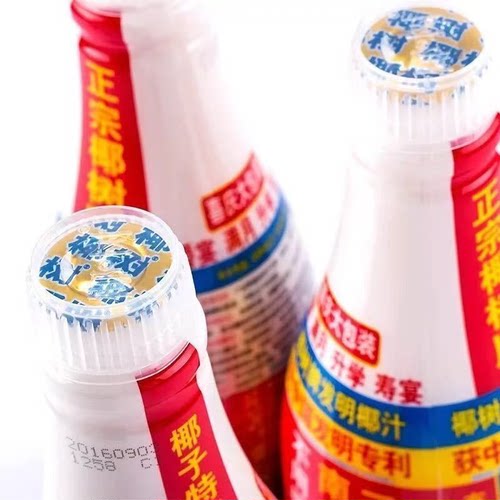 椰树牌椰汁大瓶1.25L*2瓶年货椰奶果汁饮料【临期】-TJB - 图0