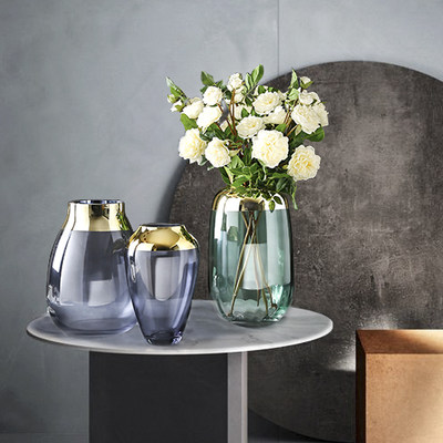 现代简约轻奢玻璃花瓶透明水养插花鲜花花器摆件北欧创意客厅餐桌 虎窝淘