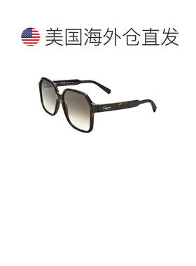 自营salvatore ferragamoTF1069S 242乌龟/灰色griient-乌龟 美国