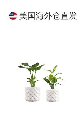 jonathan ySyrie 现代波西米亚室内海浪环保 3D 印花花盆带排水 -