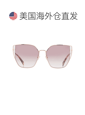 自营Police Gradient Brown Butterfly Ladies Sunglasses SPLL38