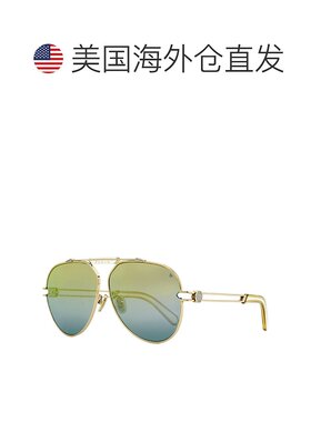 自营 Philipp Plein男式Plein七十年代太阳镜SPP048M 033M玫瑰金6