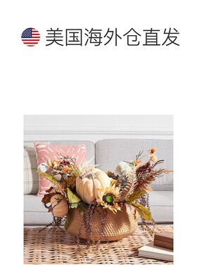自营 safaviehFx 26
