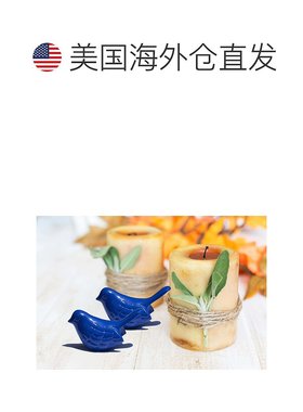 自营 Vibhsa Bluebird of Happiness 家居装饰口音 2 件套 - 蓝色