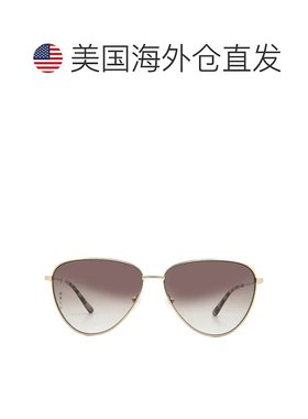 自营Calvin Klein Brown Pink Gradient Cat Eye Ladies Sunglass