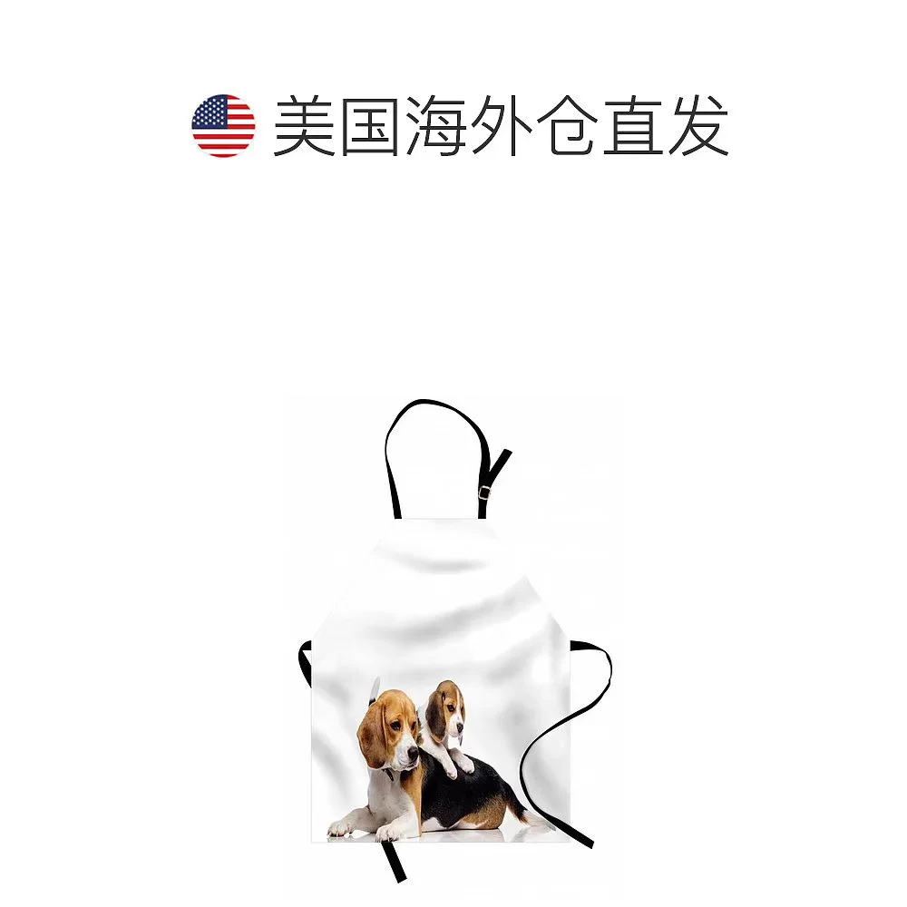 [US Direct Mail] Универсальная фартук Ambesonne
