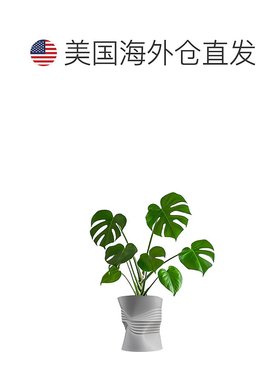 jonathan yBrent MidCentury 现代室内压碎罐环保 3D 打印花盆带