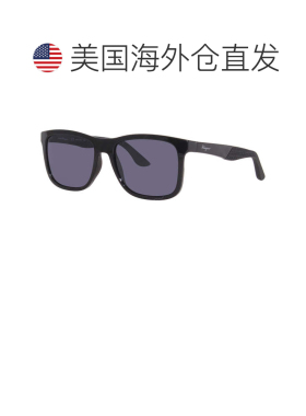 自营salvatore ferragamoFerragamo男士56毫米黑色太阳镜-黑色 美