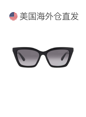 自营Emporio Armani Grey Gradient Butterfly Ladies Sunglasses