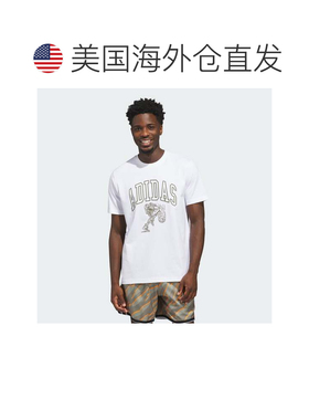 自营Men's adidas Collegiate Arch Graphic T-Shirt - white 美