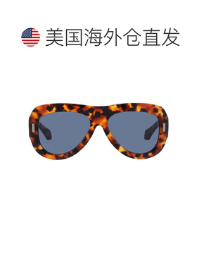自营salvatore ferragamoFerragamo蓝色椭圆形女士太阳镜SF2029SE