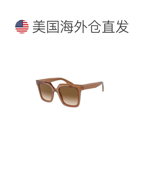 自营Giorgio Armani Acetate Women's Sunglasses - brown 美国奥