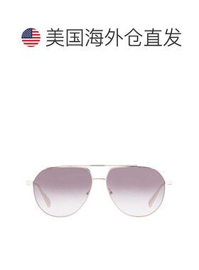 自营Longchamp Smoke Gradient Pilot Ladies Sunglasses LO174S