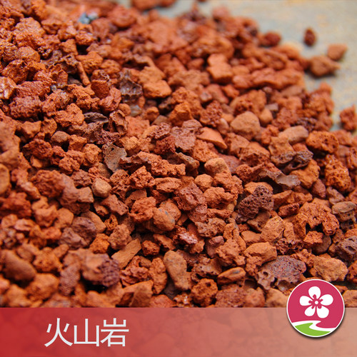 多肉火山岩颗粒土红火山石铺面石头纯颗粒20斤兰花用多肉土营养土 - 图0