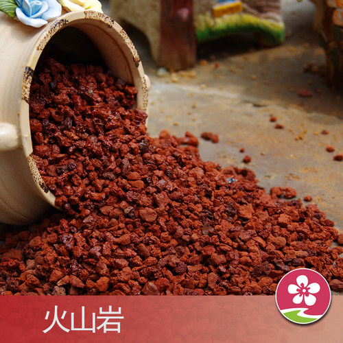 多肉火山岩颗粒土红火山石铺面石头纯颗粒20斤兰花用多肉土营养土 - 图2