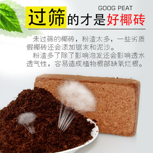 椰砖营养土通用型耶砖椰糠椰土批发养花种菜脱盐花土压缩基质多肉 - 图0