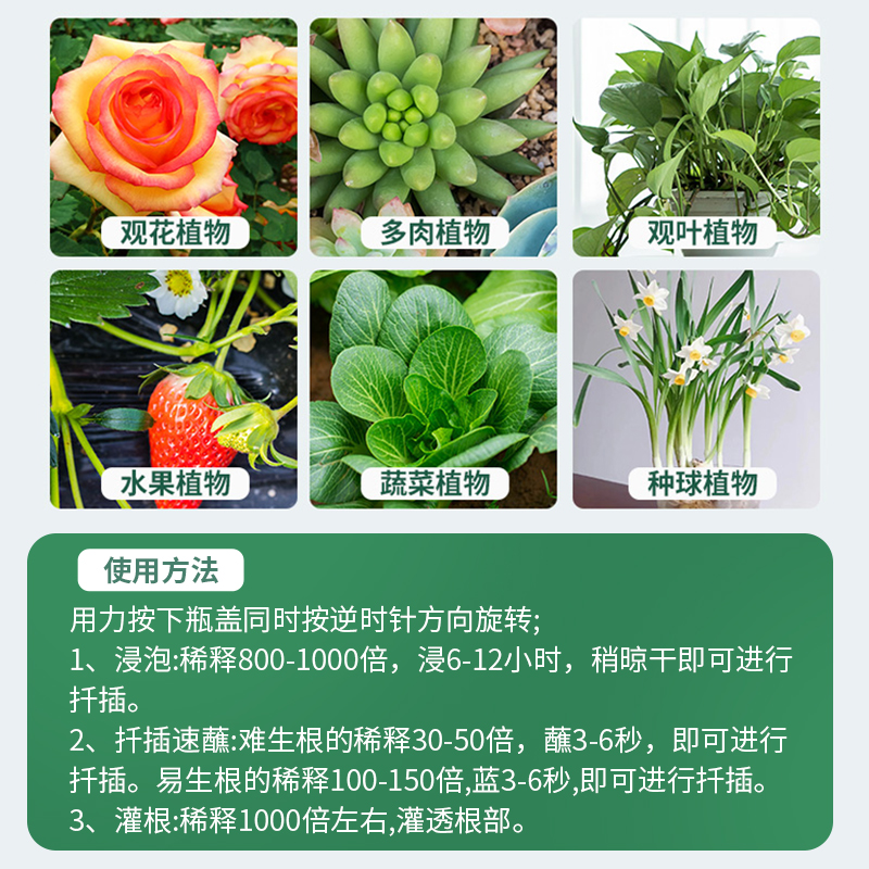 强力快速生根液粉剂花肥植物扦插通用型移栽壮苗水营养液土壤种植 - 图3