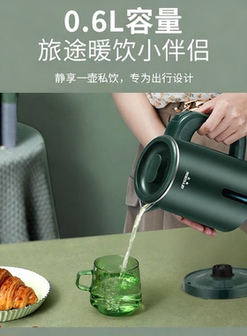 0.6升低功率电热烧水泡茶壶