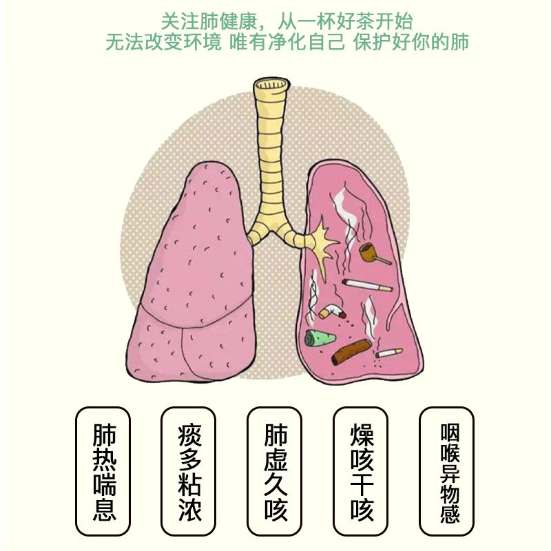 南京同仁堂润肺男士正品罗汉果茶 碧萌滋补养生养生茶