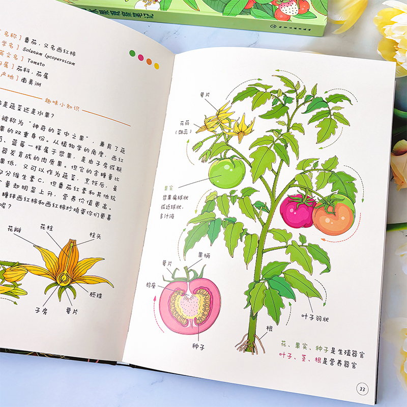 给孩子的蔬菜水果观察笔记全2册小澈麻麻3-6-8岁艺术插画自然科普蔬菜水果观察笔记小学生课外阅读科普绘本百科书小学兴趣培养观察