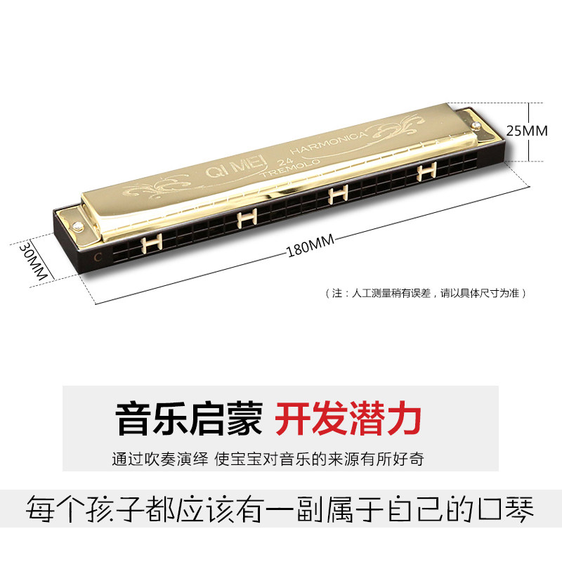 口琴24孔初学者学生演奏级吹奏乐器 玠泽母婴吹奏玩具/乐器