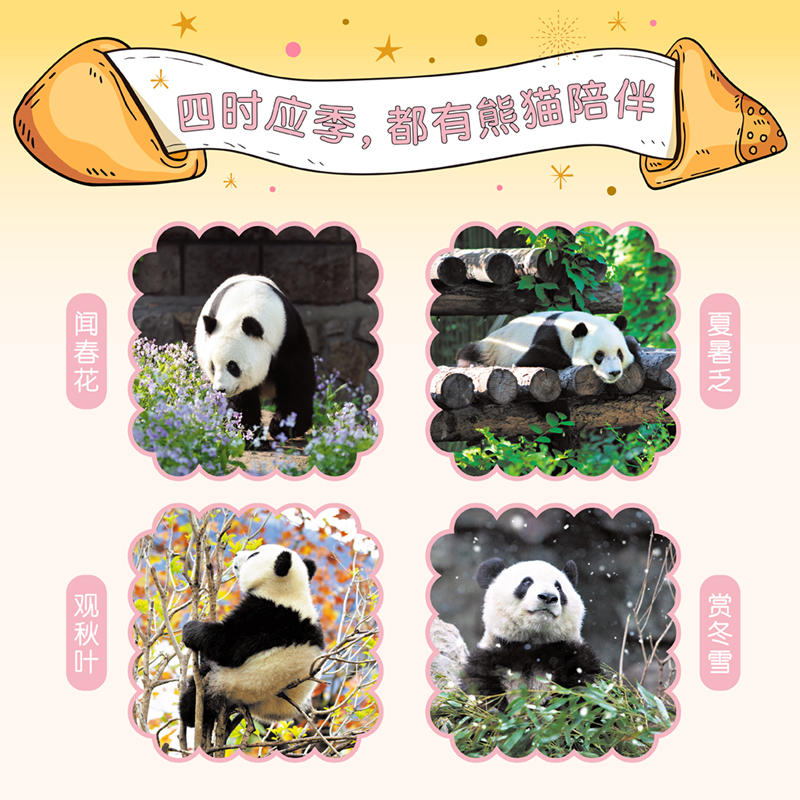 今日宜“吸”熊猫 2025年熊猫日历大礼盒 每天都能吸熊猫 集结全国13个基地129只熊猫 顶流熊猫小众熊猫一应俱全台历记事本