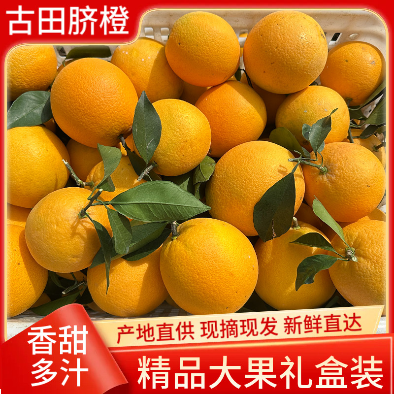 正宗福建古田三保脐橙当季孕妇新鲜水果橙子现摘精品10斤礼盒装,淘宝优惠券,粉丝福利购,淘宝优惠卷