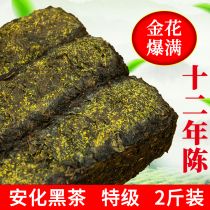 Hunan Anhua Black Tea Special Grade Tianjin Flowers with Brick Tea Chen Year Golden Volt Zhengzong Anhua Black Tea Pot Tea