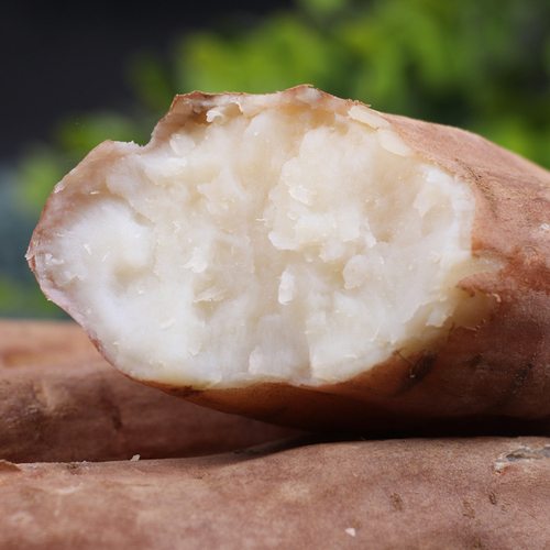 山东哈密冰糖薯新鲜白薯9斤老品种红薯白心超甜沙地板栗蜜薯地瓜