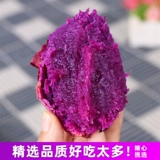 Сахар -сердечный фиолетовый картофель Свежий кристаллический фиолетовый картофель может жарить 5 кот