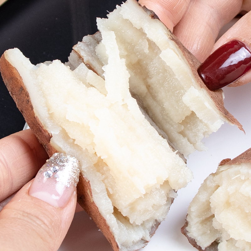 山东农科院烟薯25号蜜薯糖心薯红薯 鲜彤番薯