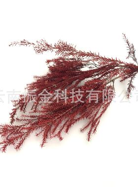 云南永生花千层金干花礼盒