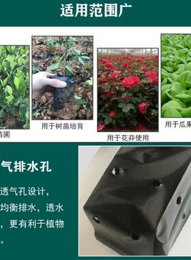 黑色加厚育苗袋营养钵种植袋
