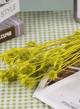 八角真花永生花压花装饰道具