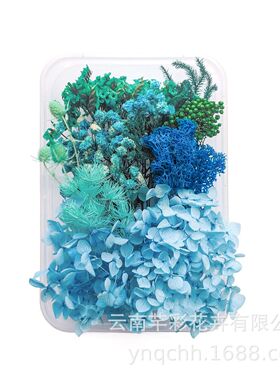 干花永生花DIY材料包6