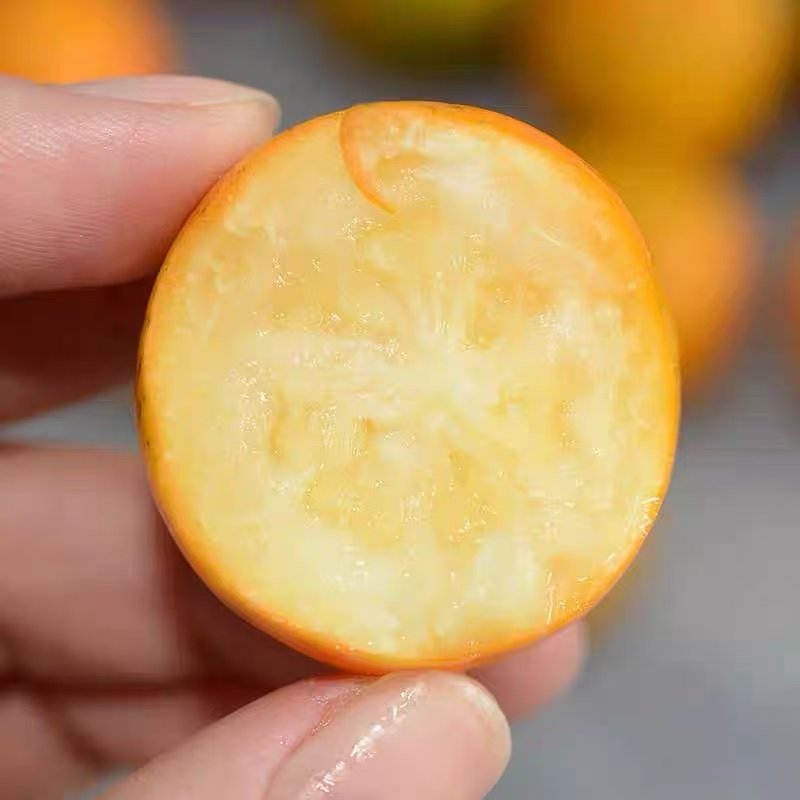 广西阳朔脆蜜金桔3斤新鲜橘子大果 水果当季纯甜蜜小金柑孕妇零食,淘宝优惠券,粉丝福利购,淘宝优惠卷