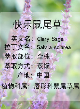 快乐鼠尾草单方精油植物香薰女性子宫护理