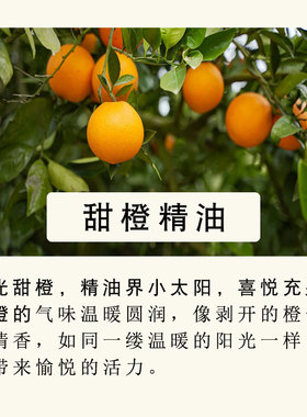 甜橙单方天然植物精油美国产舒缓心灵芳疗香薰