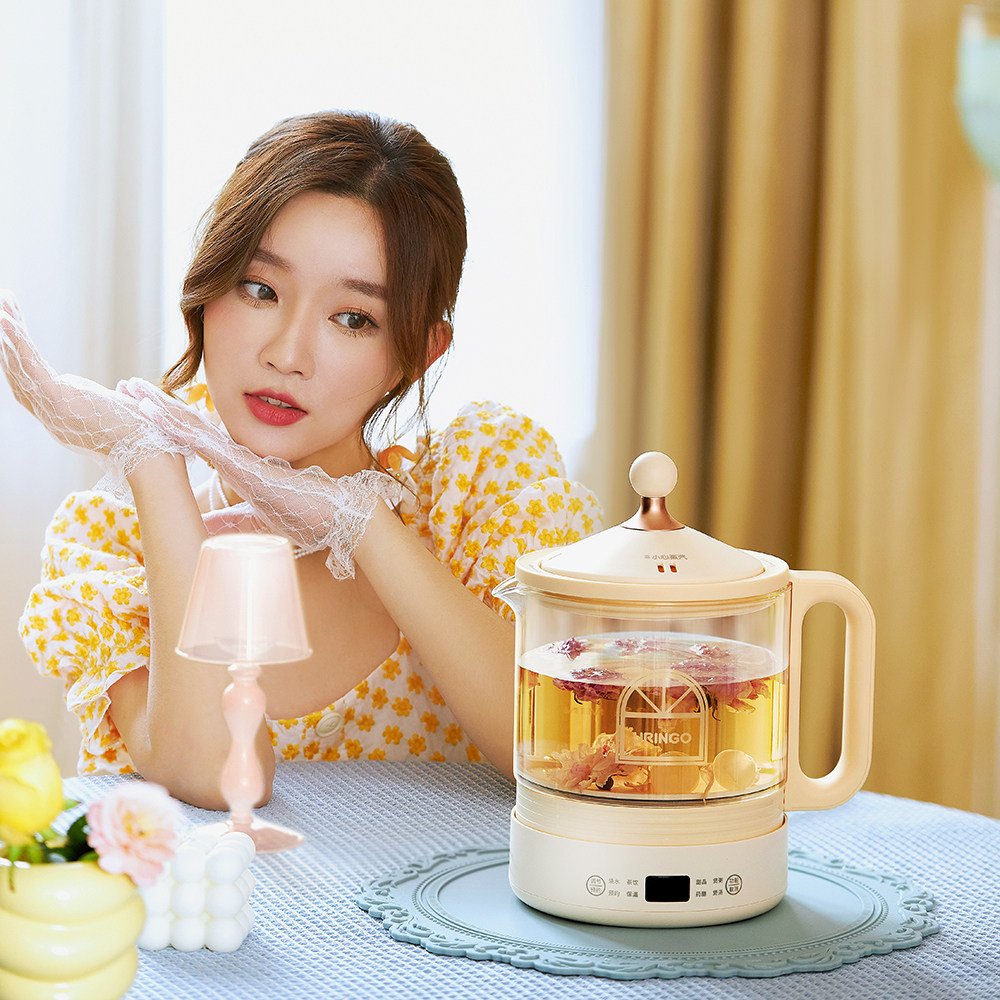 七彩叮当家用多功能养生炖盅养生壶 七彩叮当养生壶/煎药壶