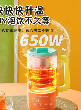 荣事达养生壶家用小型煮茶器多功能电热水壶办公室迷你花茶烧水壶